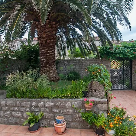 Family House Lana Osor