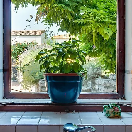 Family House Lana Holiday home *